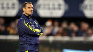 "Un tr&egrave;s beau cadeau de No&euml;l" jubile Labit apr&egrave;s le premier succ&egrave;s de Perpignan en Top 14