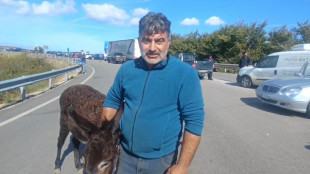 L'asinella Susy alla protesta nel Foggiano, 'costa meno del gasolio'