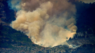 Espagne: l'incendie de Tarragone stabilis&eacute;, le confinement en grande partie lev&eacute;