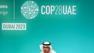 Neuer COP28-Beschlussentwurf ruft zu "Umstieg" weg von Fossilen auf