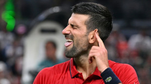 Djokovic disputar&aacute; ATP Finals, garante presidente da federa&ccedil;&atilde;o italiana