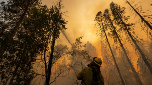 Miles de evacuados en EEUU mientras el fuego en California se extiende
