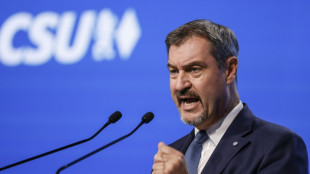S&ouml;der sichert Merz R&uuml;ckhalt zu und setzt auf Abgrenzung zu Gr&uuml;nen und BSW