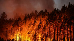 Höchste Hitzewarnungen in England und Westfrankreich - Brand in Sächsischer Schweiz