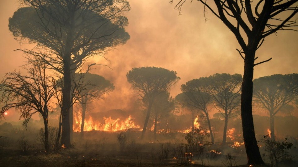 Vaste incendie pr&egrave;s de Saint-Tropez en 2021: un suspect mis en examen