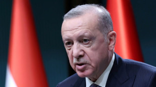 Erdogan intenta una mediación entre Ucrania y Rusia mientras siguen los esfuerzos diplomáticos europeos