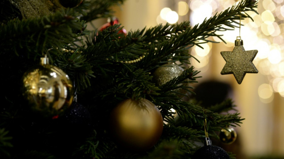 Weihnachtsb&auml;ume aus dem Internet spielen in Deutschland kaum eine Rolle