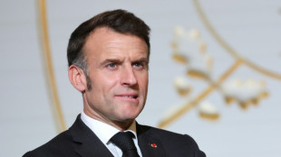 France detects Russia-linked Epstein smear attempt against Macron: govt source