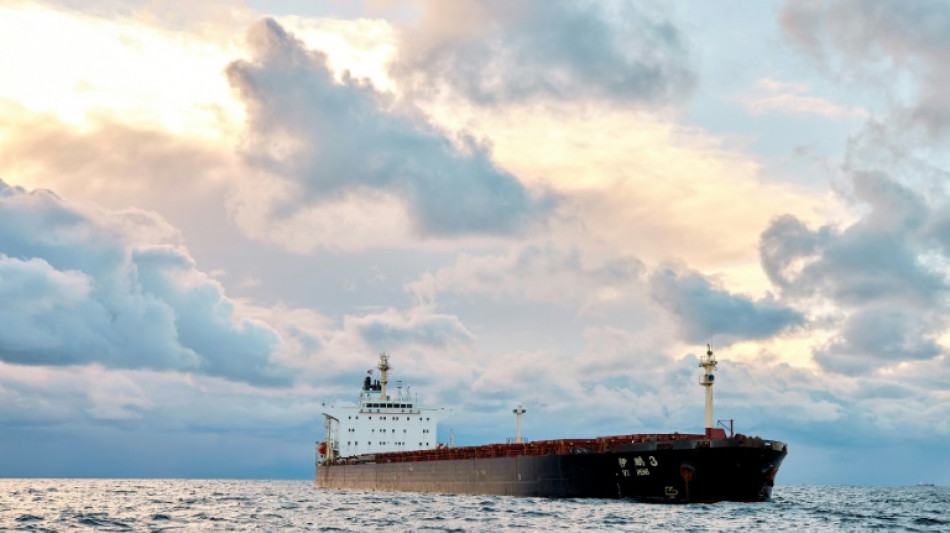C&acirc;bles sous-marins rompus: la Su&egrave;de souhaite que le cargo chinois suspect gagne ses eaux territoriales
