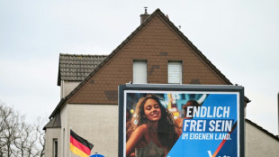 "Spiegel": Verdacht auf Strohmannspende f&uuml;r AfD - Partei weist Vorw&uuml;rfe zur&uuml;ck