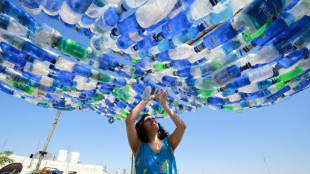 Jordan's plastic trash turned into art with a message