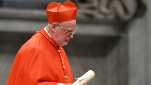 Cardeal sueco Arborelius, um cat&oacute;lico convertido em um mar de ateus