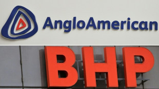 BHP asks for more time to explore Anglo American takeover