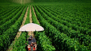 France: le Haut Conseil pour le climat appelle &agrave; un "sursaut collectif"