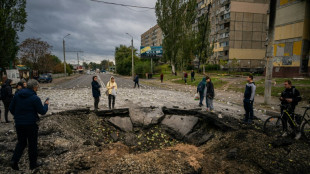 Shielding Ukraine from Russian strikes a challenge: analysts