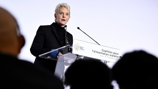 Pam: Gaza al 'punto di rottura', riattivare rete alimentare