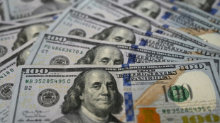 US-Regierung bereitet mögliche Einführung eines Digital-Dollars vor