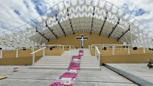 Artista portugu&ecirc;s critica financiamento p&uacute;blico da visita do papa na JMJ