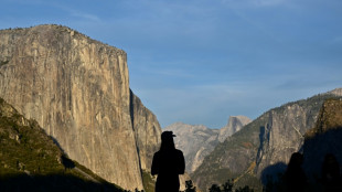 US-Regierung pr&uuml;ft Verkauf von Land des Yosemite-Parks an Immobilienfirma