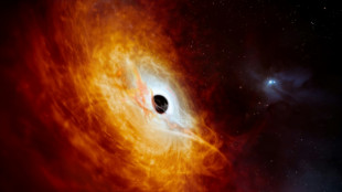 Découverte d'un trou noir avalant un Soleil par jour