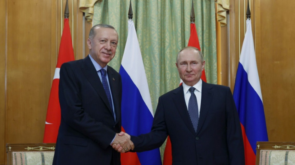 Putin und Erdogan vereinbaren engere Zusammenarbeit bei Wirtschaft und Energie
