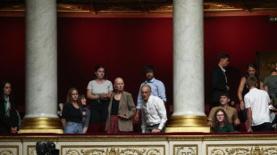 French health experts speak out against bee-killing pesticide