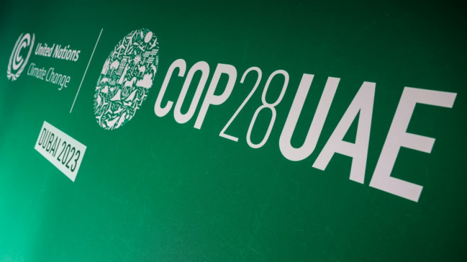 COP28 stellt Arbeitsfähigkeit von Fonds zu Klimaschäden her