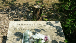 Abattage d'un olivier rendant hommage &agrave; Ilan Halimi: deux hommes interpell&eacute;s