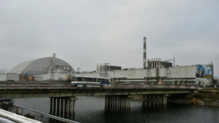 IAEA sieht Stromausfall in Tschernobyl nicht als bedeutendes Risiko