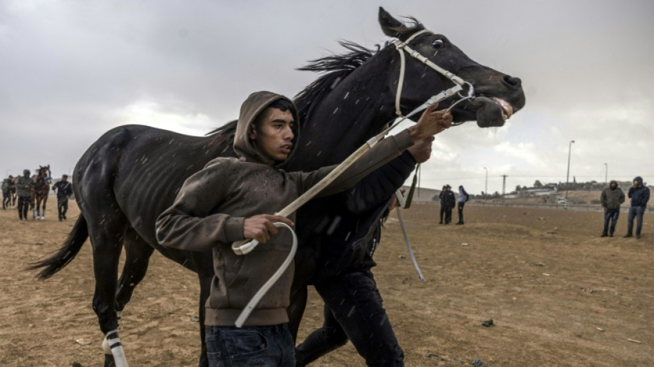 Off a desert highway, Israel Bedouins rejoice in horse racing