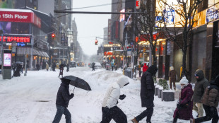 Tempesta artica in Usa, almeno 18 morti