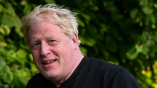 Investiga&ccedil;&atilde;o conclui que Johnson 'enganou' o Parlamento sobre festas durante a pandemia