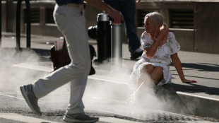 El este de EEUU sufre su primera ola de calor "extremadamente peligrosa" del a&ntilde;o