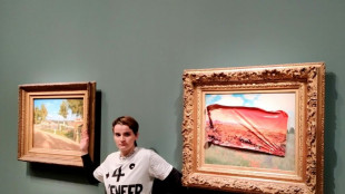 Une militante interpellée après une action contre un Monet au Musée d'Orsay