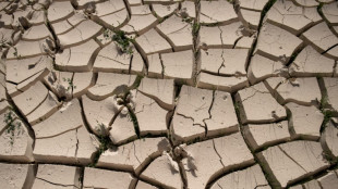 Desertificação na Espanha acelera avanço das terras inóspitas