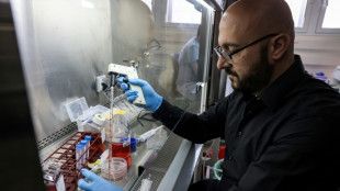 Cientistas afirmam que criaram 'pseudoembri&otilde;es' e geram controv&eacute;rsias