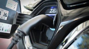 ADAC fordert "verl&auml;ssliche, andauernde staatliche F&ouml;rderung f&uuml;r E-Autos"