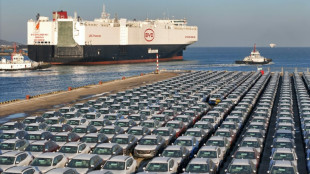 EU seeks roadblocks for Chinese EVs without sparking trade war