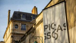 Free Picasso park to open in Paris in 2030