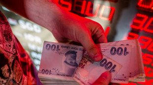 Türkei senkt Leitzins trotz gallopierender Inflation