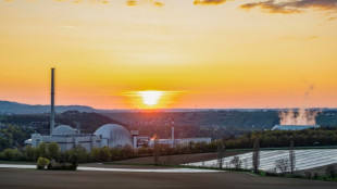 EnBW-Chef schlägt Akw-Standort Neckarwestheim für Bau von KI-Rechenzentrum vor