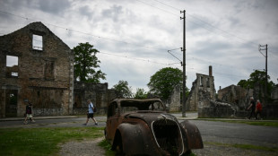 France seeks to save Nazi massacre village from decay