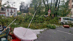 ++ Cremona in ginocchio, danni a 10 chiese e 10mila auto ++