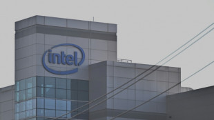Intel posterga dos a&ntilde;os el proyecto de instalar f&aacute;bricas en Alemania y Polonia