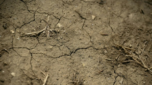 La vague de chaleur s'amorce sur la France, la sécheresse s'aggrave