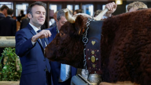 Au salon de l'Agriculture, Ovalie, Po&egrave;te et les autres, la ferme "en vrai"