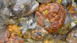 La UE aprueba una normativa contra el desperdicio alimentario y la moda rápida