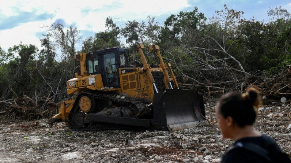 Un juez frena la construcción de un tramo del Tren Maya en México