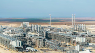 Study warns US emissions progress may flatline