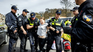 Klimaaktivistin Thunberg bei Protest in Den Haag zweimal festgenommen